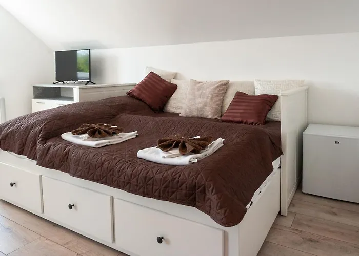 Vivien Szallo 3* Segedin
