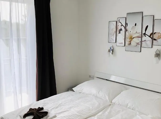 Vivien Szallo 3*
